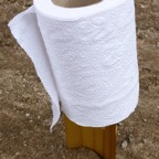 TP on a trowel handle